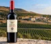 Cabernet Enira 2024