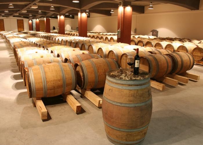 French oak barrels in the Domaine Bessa Valley wine cellar